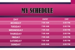 MY SCHEDULE