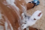 Mi Rico Y Sobroso