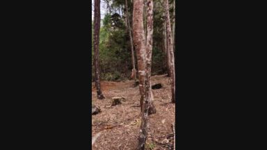 vanya โ The video without panties is on OF ๐
