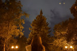 Golden After Dark
