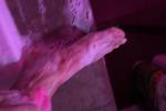 Feet