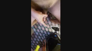 cock