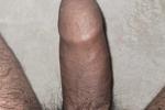 Dream cock