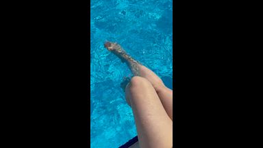My playful legs