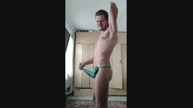 Briefs of elephant