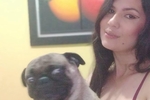 mi mascota
