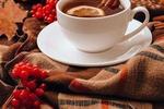 autumn soup - mulled wine