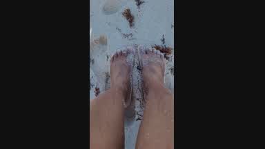pies