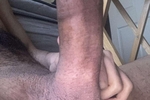 cock
