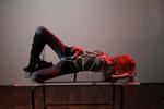 Blissfully All Knotted Up