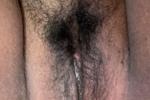 Hairy pussy