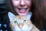 my kitty