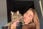 my kitty