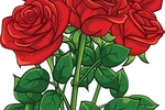 Buy me flowers