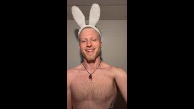 Hopper Hardwood Bunnies