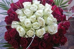 buy me flowers