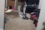 Lisazoey
