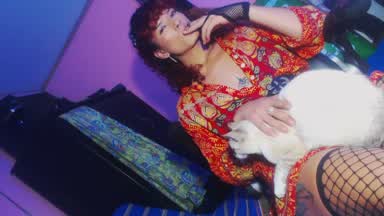 mi bb