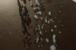 cum shot