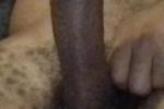 Hard Cock