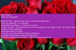Room Rules
