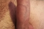 Cock