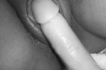 pussy