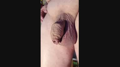 Penisplug