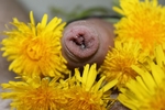 Fertility