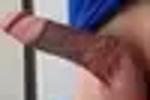 pussyflex963 live Chaturbate webcam gallery thumbnail