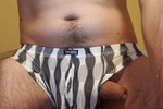 panties
