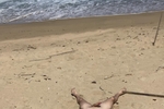 natylight โ Beach Day