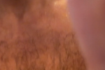 midatlanticman1 live Chaturbate webcam gallery thumbnail