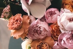 Flower of Love
