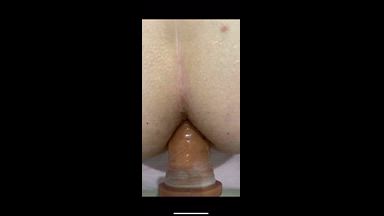 Ginger adulto maduro