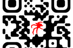 MY TG CHANNEL
