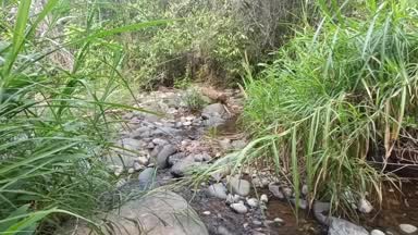 Sexo anal en el río