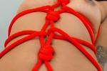 nude2557940 โ tied for you
