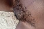 Cute afro bush