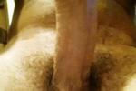 Cock