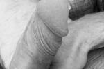 cock