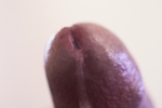 Dripping With Cum