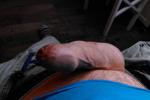 Willy's shaved cock & balls