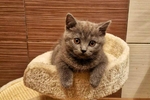 my best friend ))
