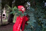 Let me tell you a sex tale