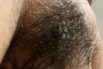 my bush close up