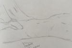 ant โ Art Sketches