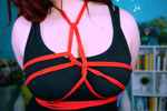 The first shibari