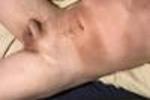 SMALL LOSER COCK