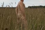 field and fully naked